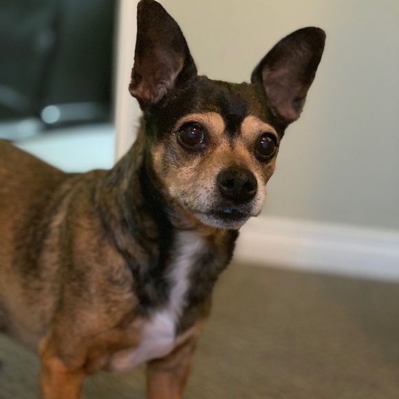 Meet your Posher, Emily - Picture 1 of 1